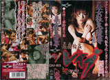yy-y8-34