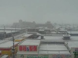e4c38278.jpg