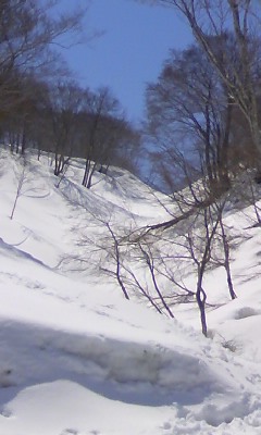 435d48ac.jpg