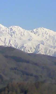 587d55c1.jpg