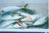 wakashi