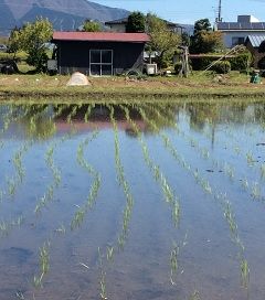 ÅÄ¿¢¤¨170503