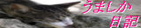 banner002