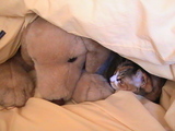 2008.02.19