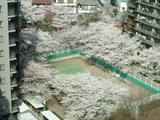 DSCF0004