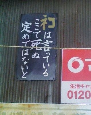 ネコとは言っている