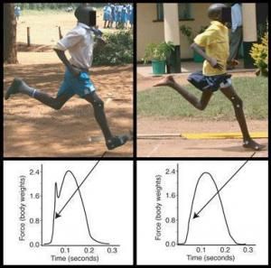daniel lieberman barefoot running