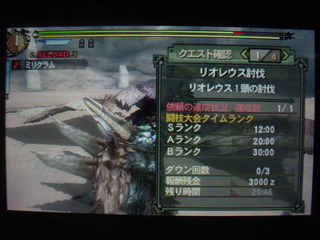 レウス闘技1