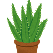 plant_aloe