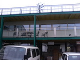 tanaka����