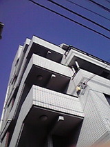 36924a10.jpg