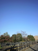 2011121808230000