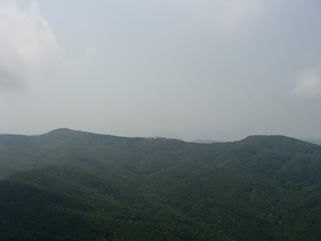 DSC00389