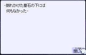 20101124d