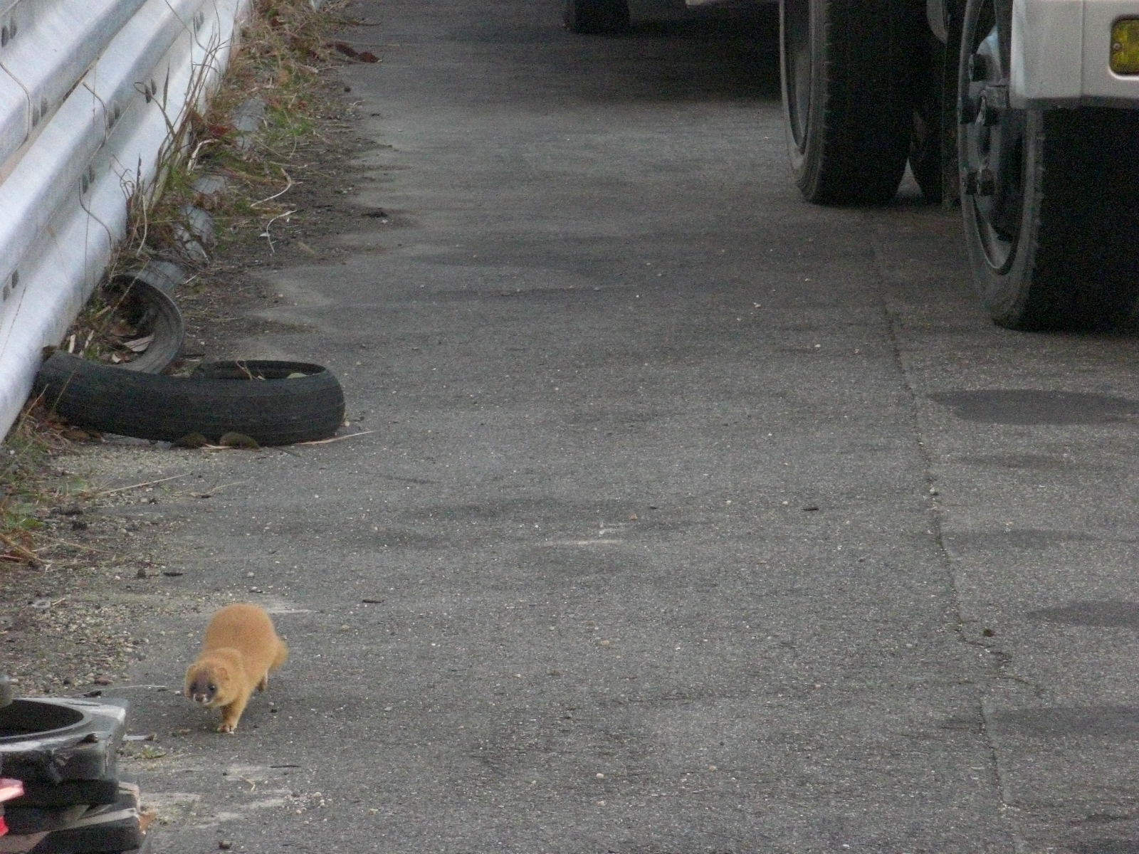 v킸ۑō̉摜]ڂX Part54YouTube>6{ ->摜>2066 