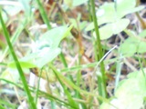 77bb8334.jpg