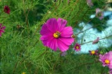 071019_�ʿ��ϥ�4