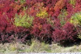 071019_�ʿ�5