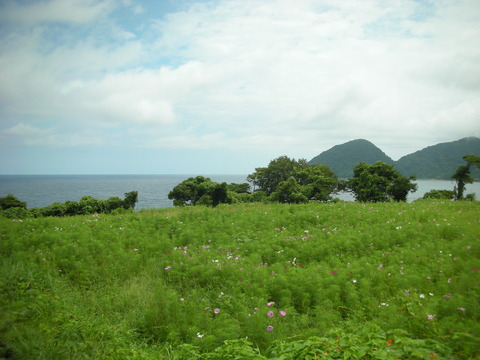 基地建設予定地1