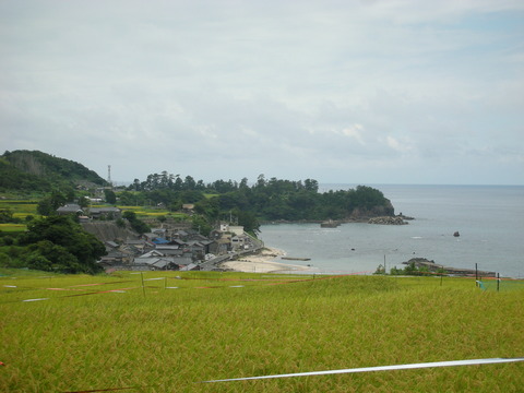 経ヶ岬