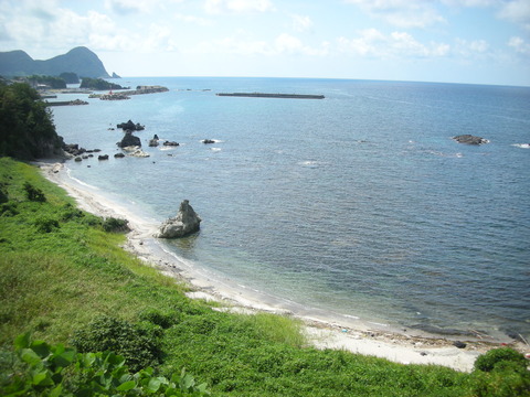 海