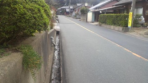 島津2
