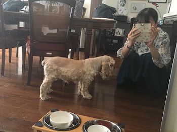 20180716ns3
