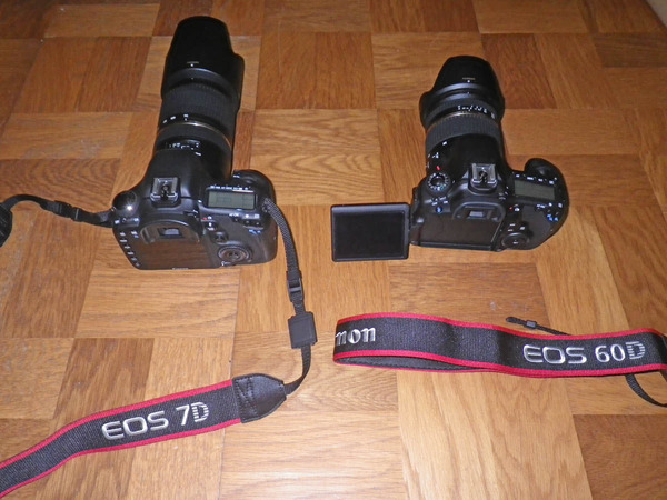 IMGP0370S