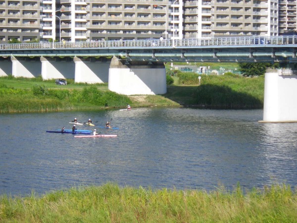 IMGP0915S