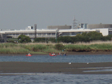 56d0cb67.jpg