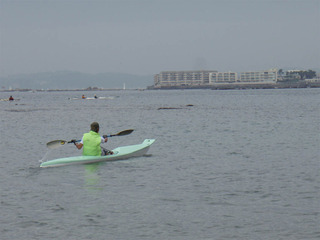hayama1010241