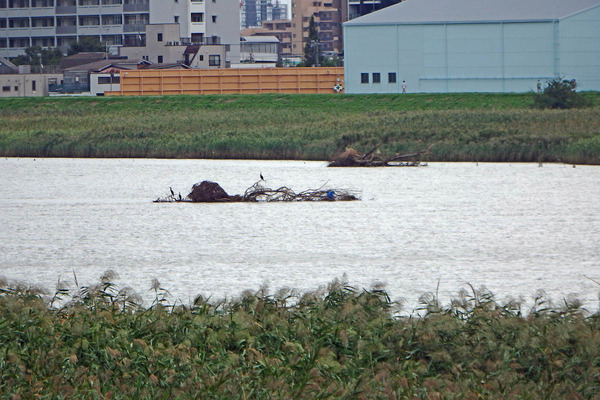 P9210180S