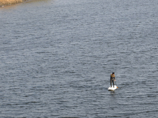 sup20130317_01