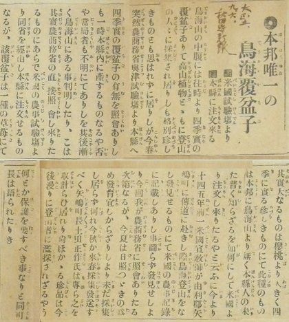 記事 -