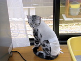 画像 016