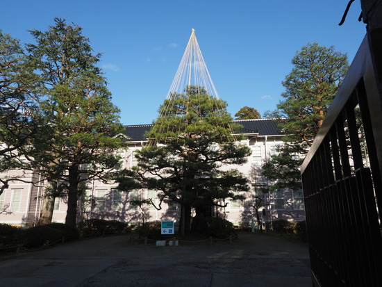 N1060546_PRF
