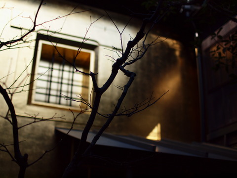P2119891_PRF