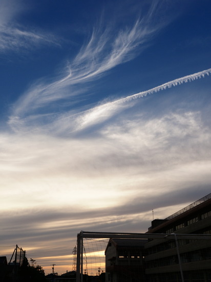 N8261463_PRF