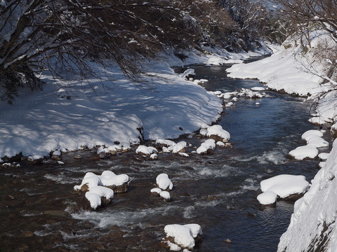 P2190237_PRF