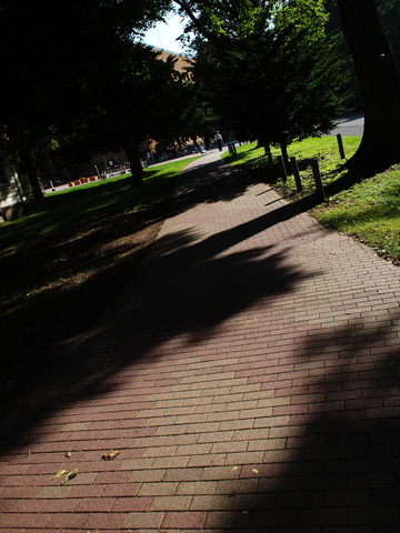 E8300300_PRF