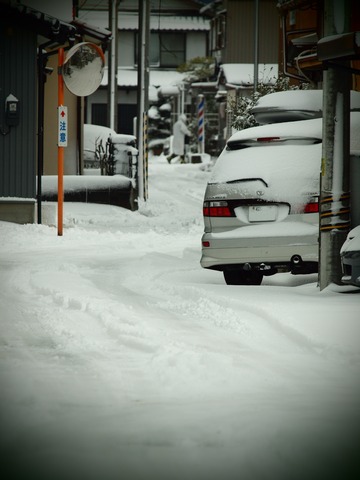 P1163052_PRF
