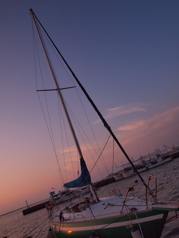 E7051989_PRF