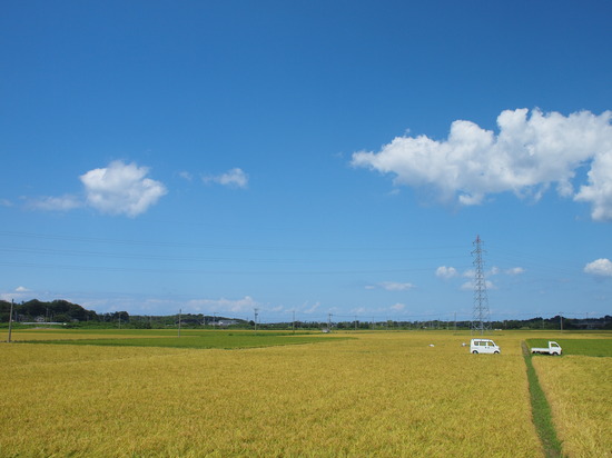 E9025546_PRF
