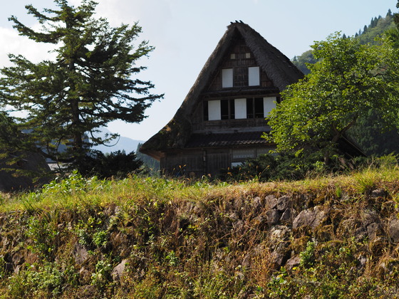 P9270053_PRF