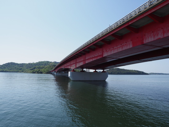 N4296253_PRF