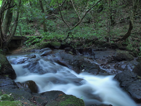 E7031945_PRF
