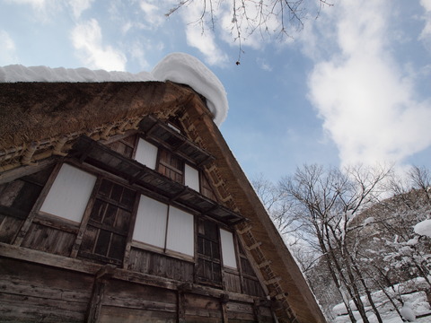 P1148810_PRF