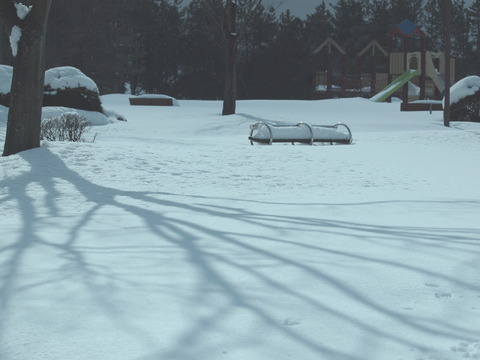 P2049725_PRF