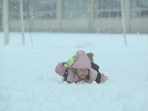 P1102986_PRF