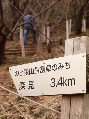 P4032829_PRF